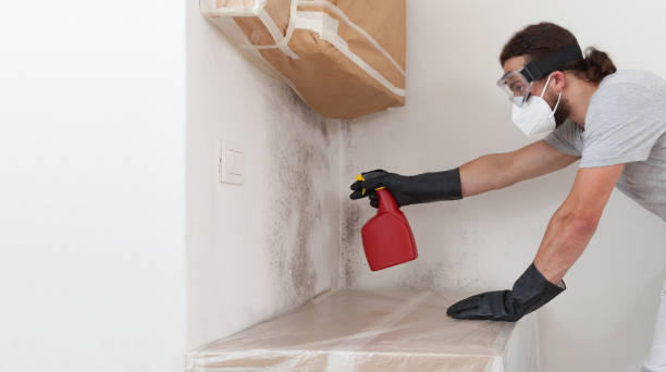 Professional Mold Testing technician working in Akron, CO